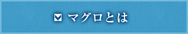 マグロとは